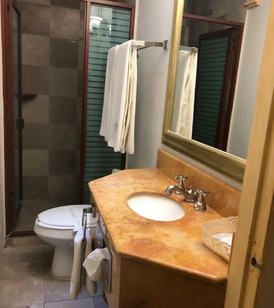 Hotel Elena Puebla
