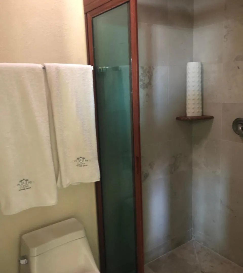 Hotel Elena Puebla